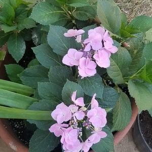 Meet your Posher, Valerie